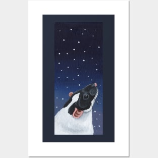 Black Capped Rat Stargazing Posters and Art